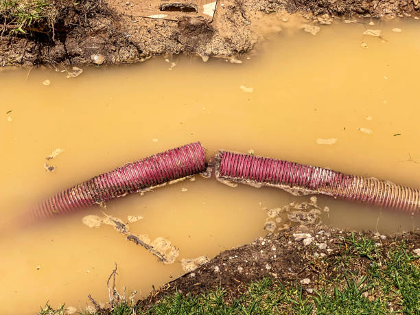 Best 24-hour water damage restoration  in Lawton, IA