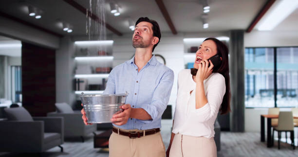 Best Basement water damage restoration  in Lawton, IA